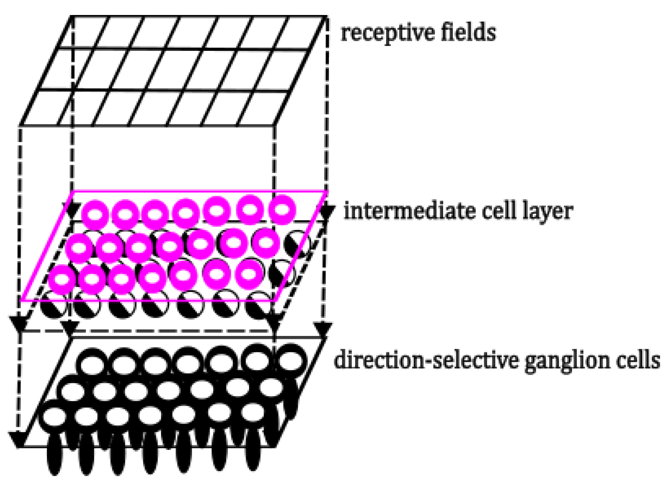 Symmetry 17 00162 g006