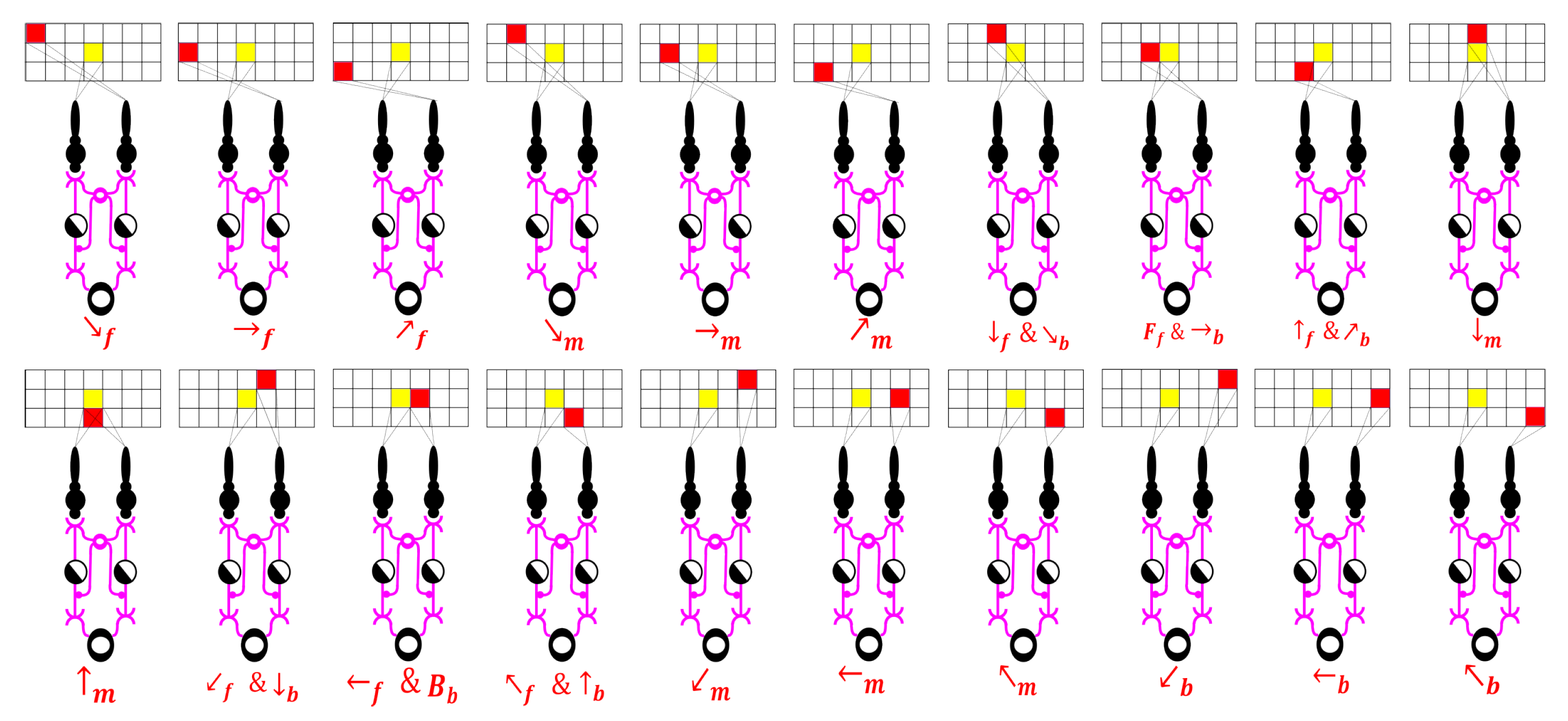 Symmetry 17 00162 g007