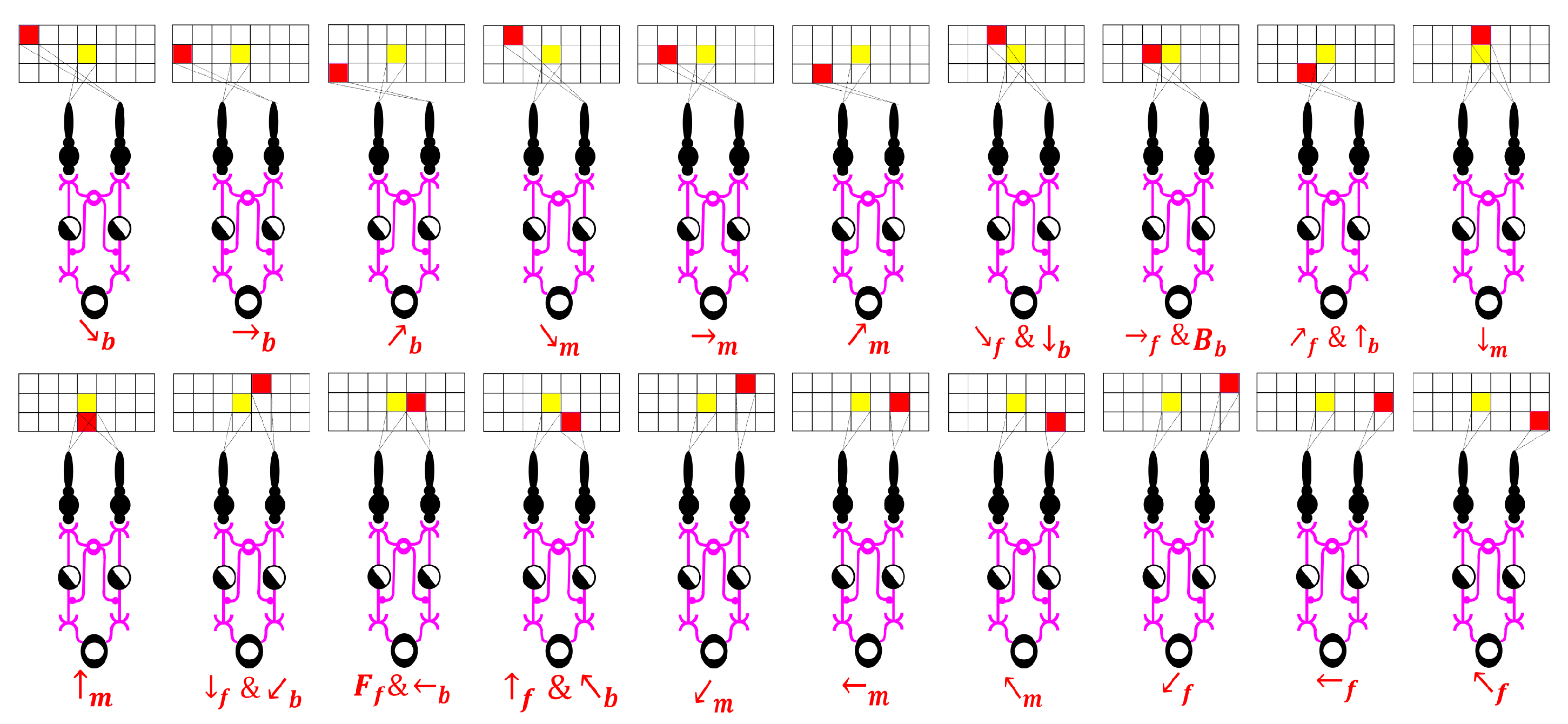 Symmetry 17 00162 g008