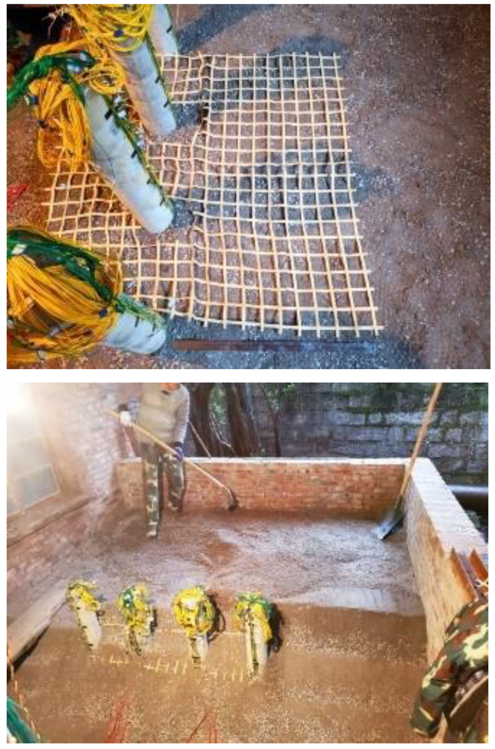 Symmetry 17 00188 g005