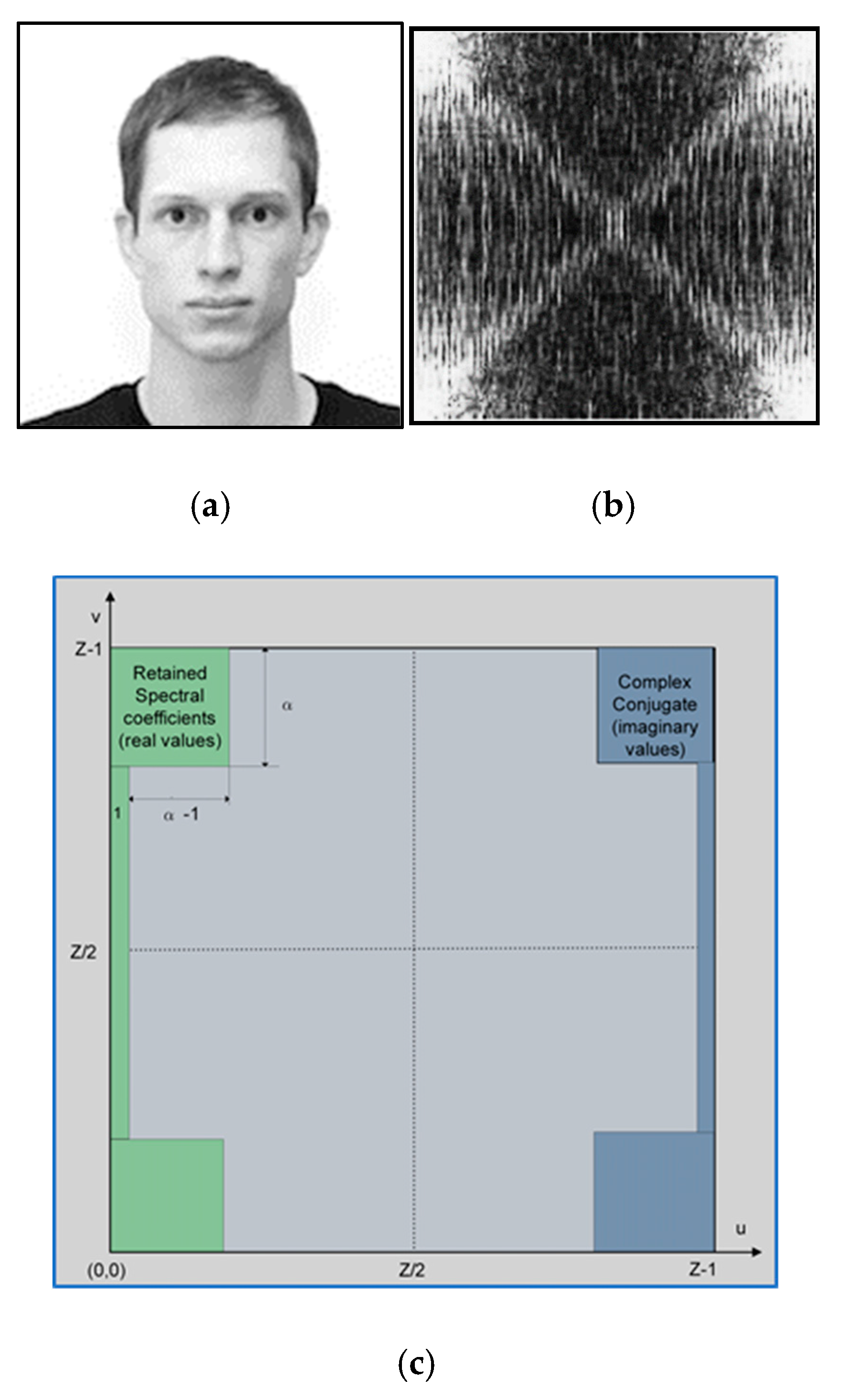 Symmetry 17 00234 g003