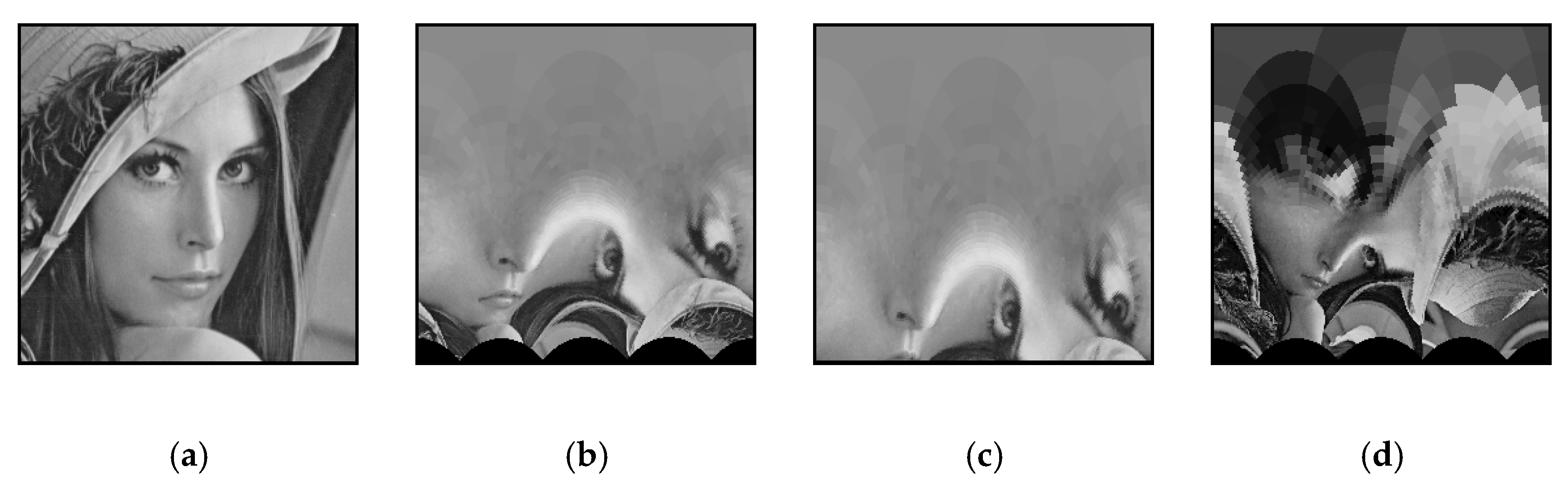 Symmetry 17 00234 g004