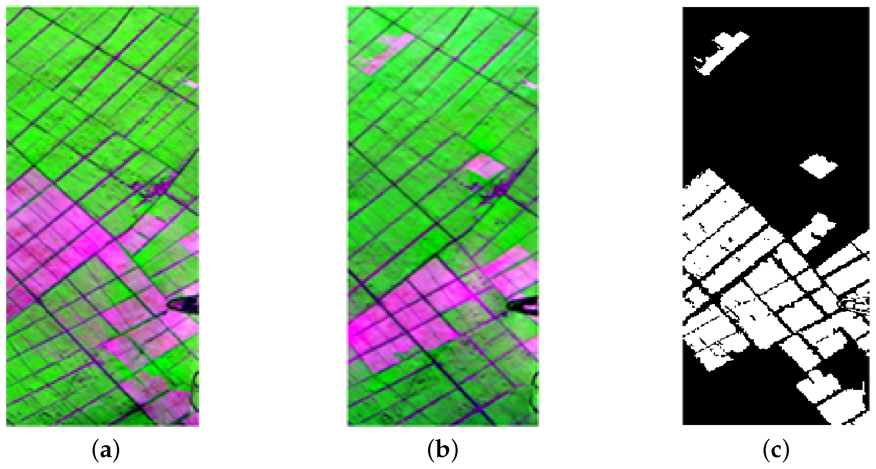 Symmetry 17 00304 g002