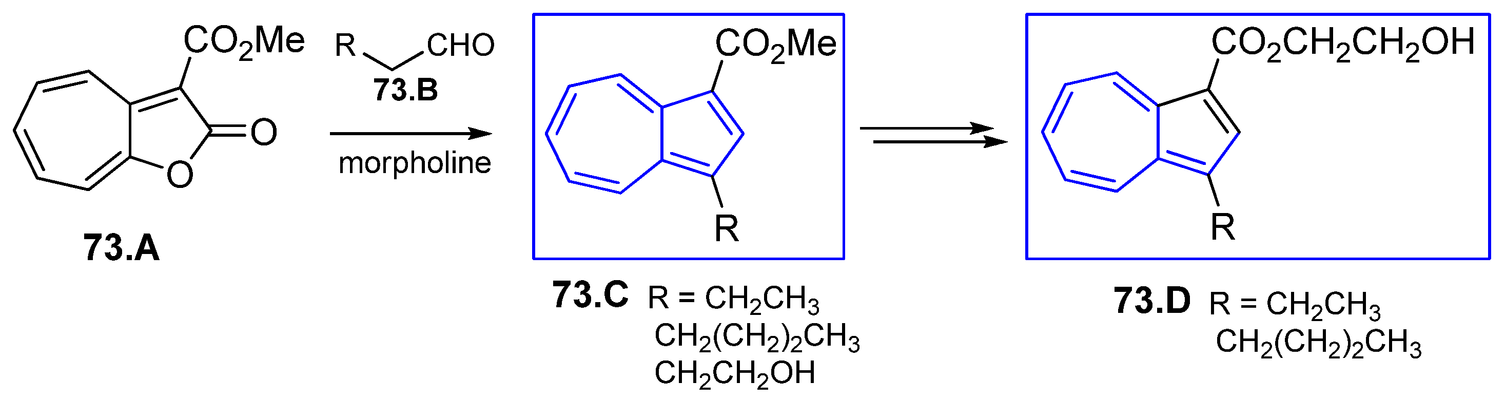 Symmetry 17 00335 sch073