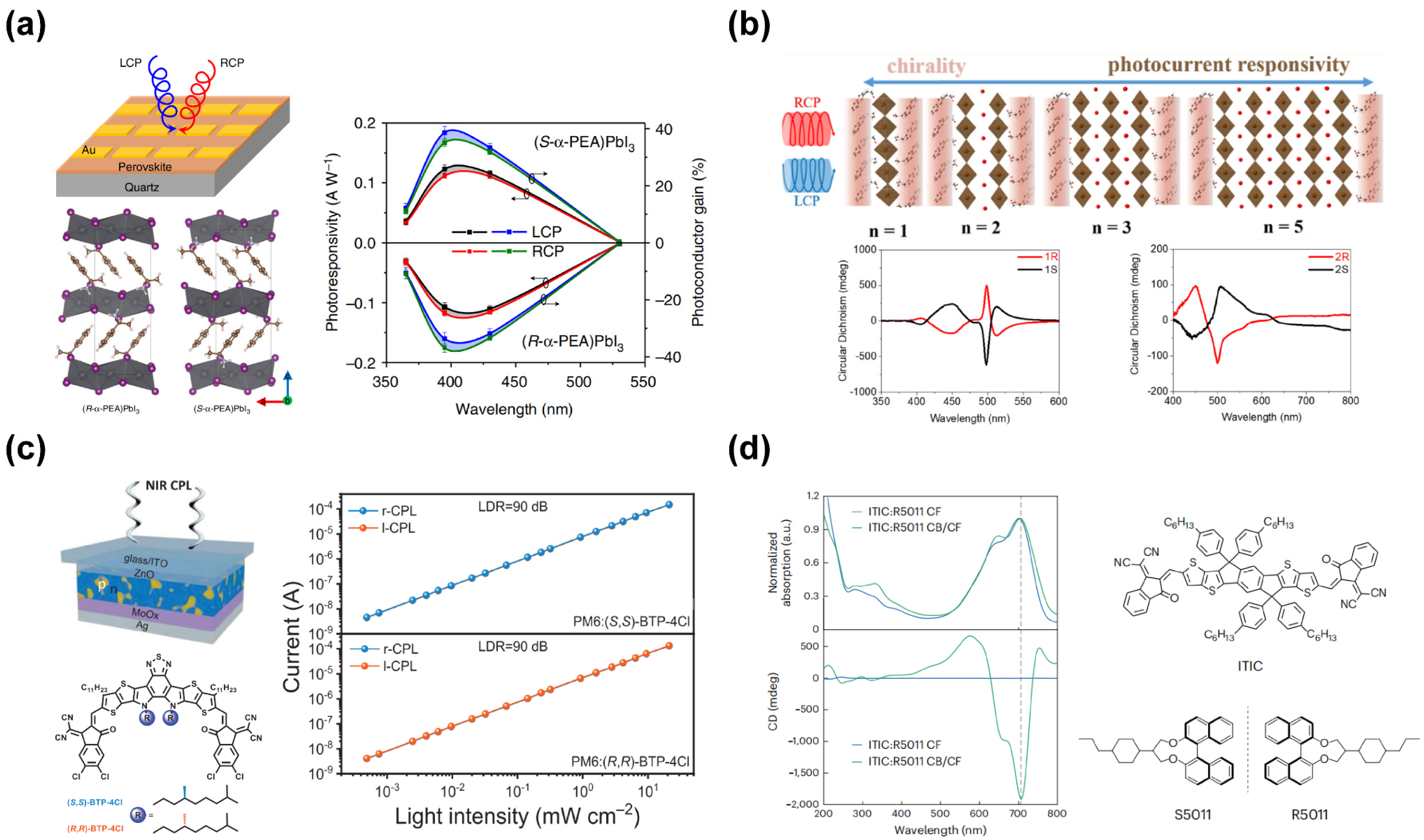 Integrated Circular Polarization Detectors Based on Asymmetric ...