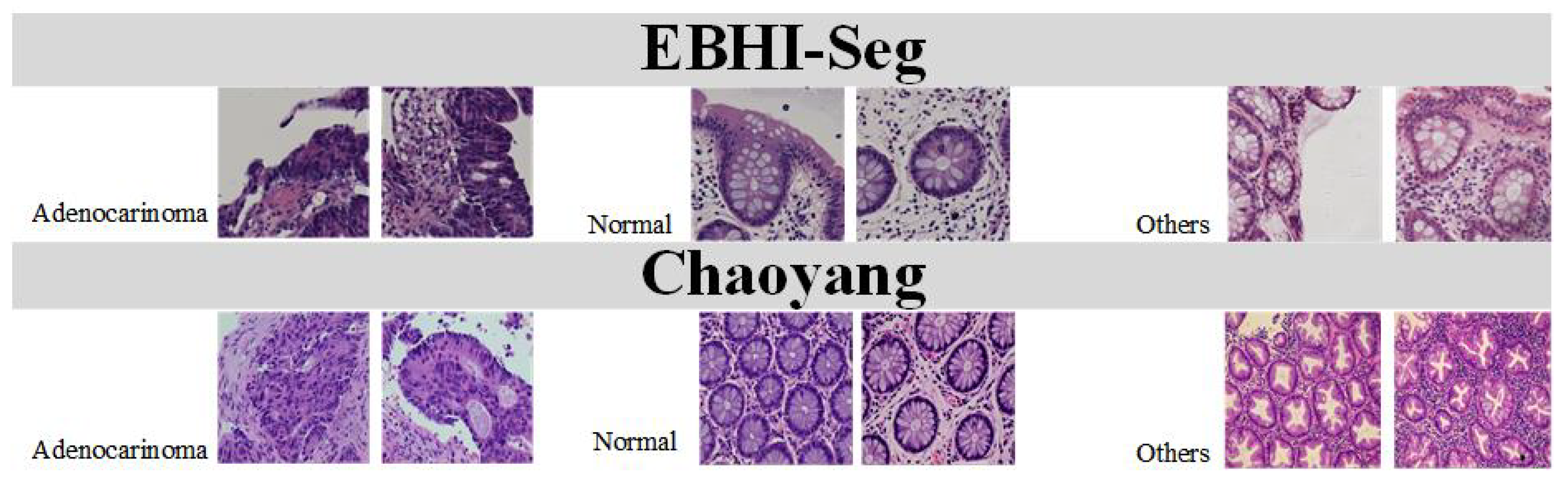 Symmetry 17 00515 g003