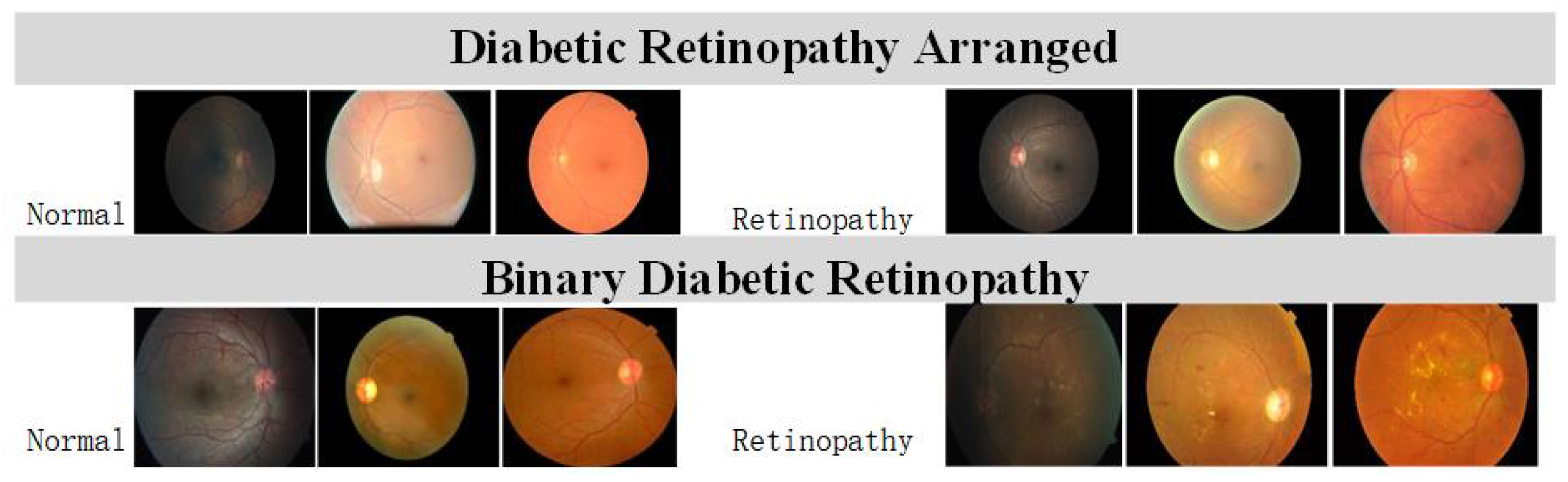 Symmetry 17 00515 g004