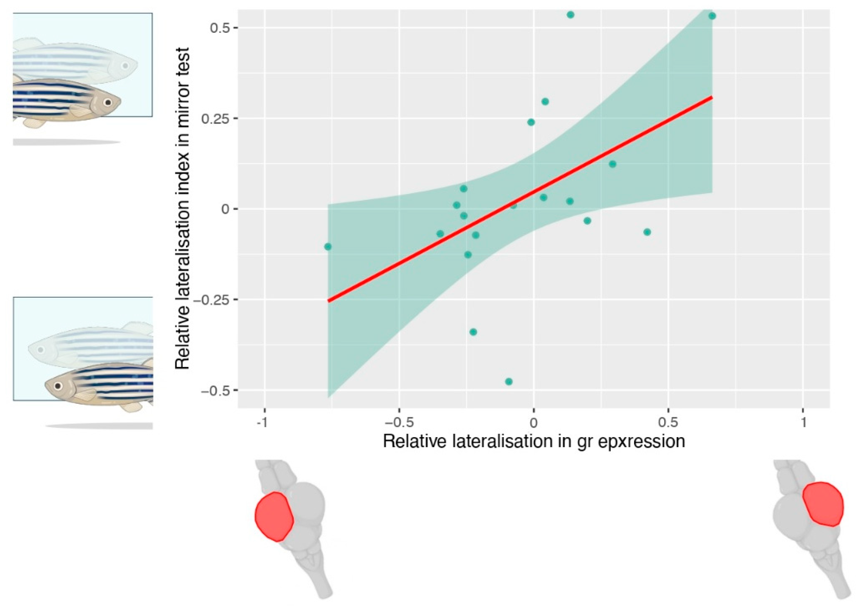 Symmetry 17 00527 g003