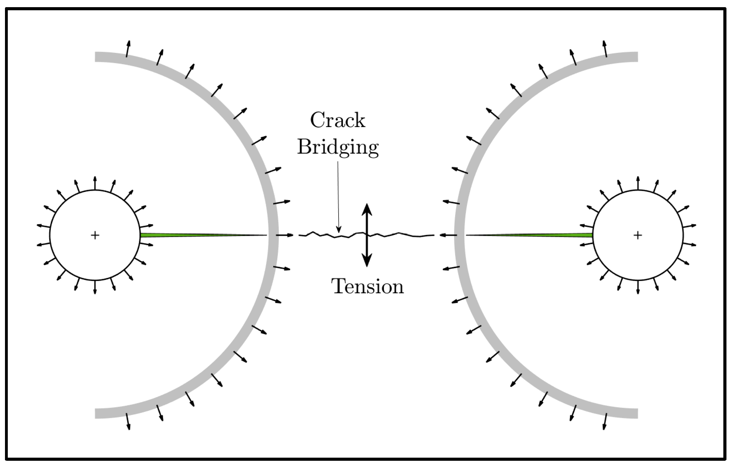 Symmetry 17 00555 g004