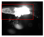 Symmetry 17 00611 i005