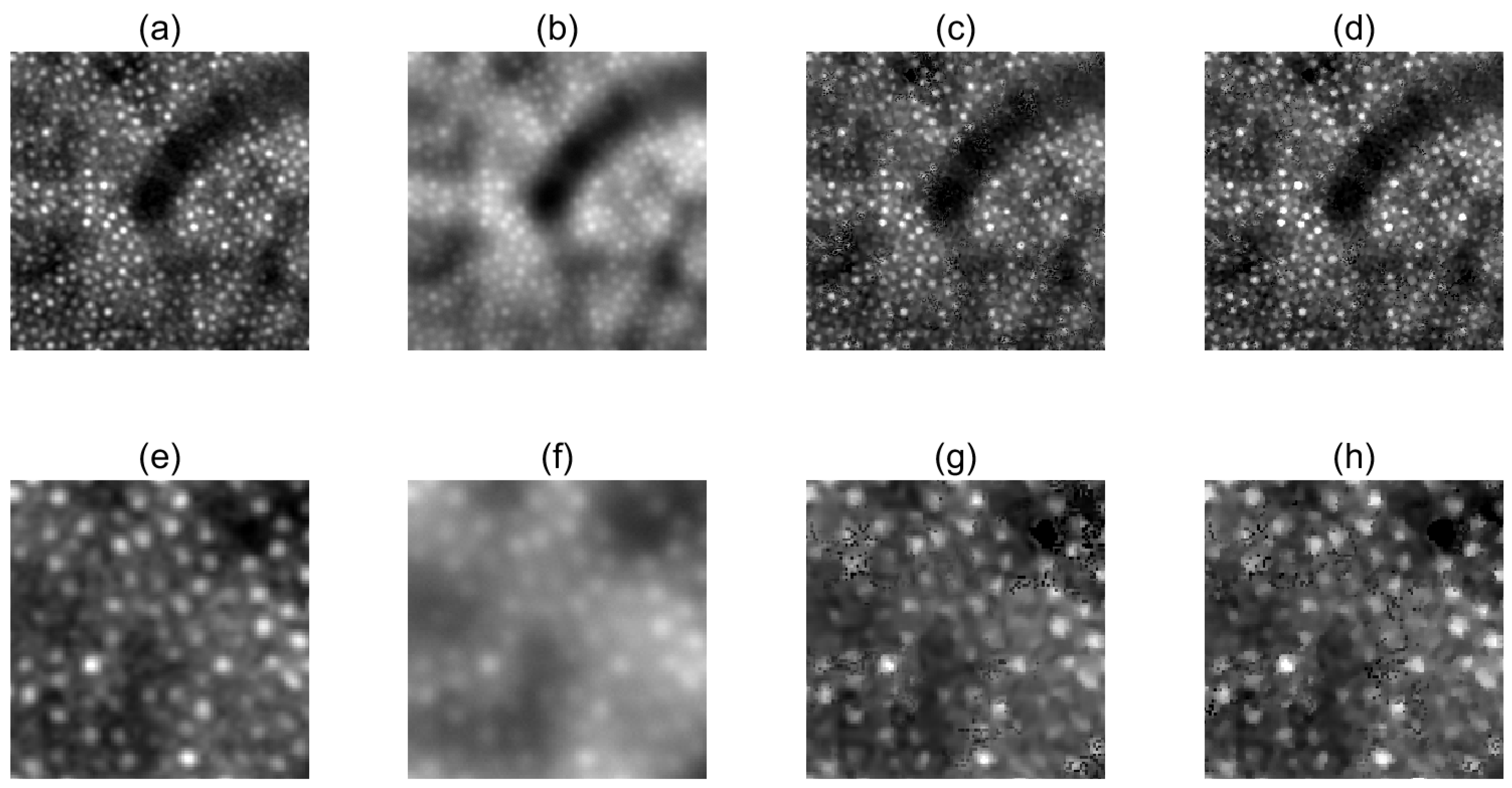 Symmetry 17 00660 g001