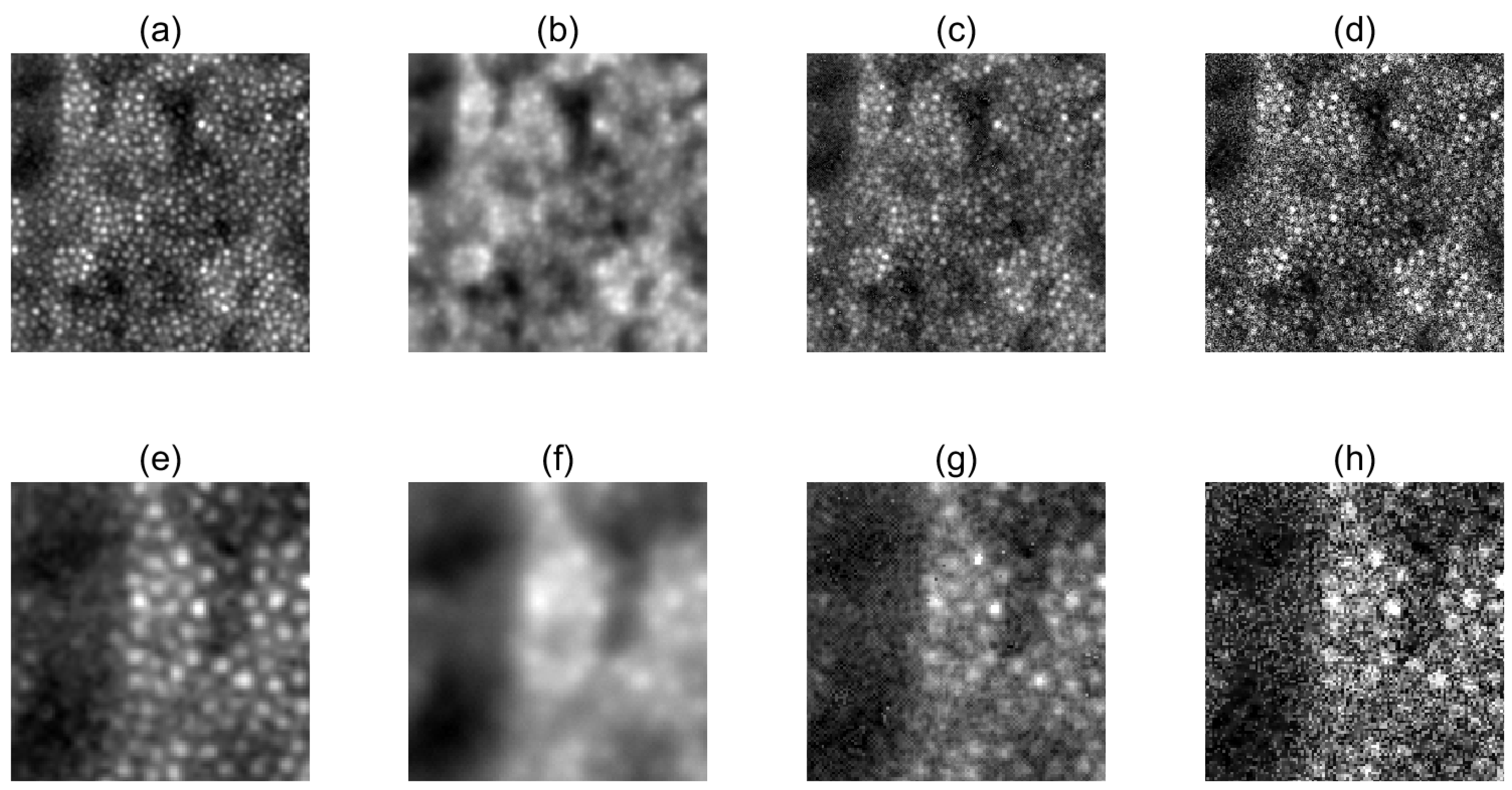 Symmetry 17 00660 g003