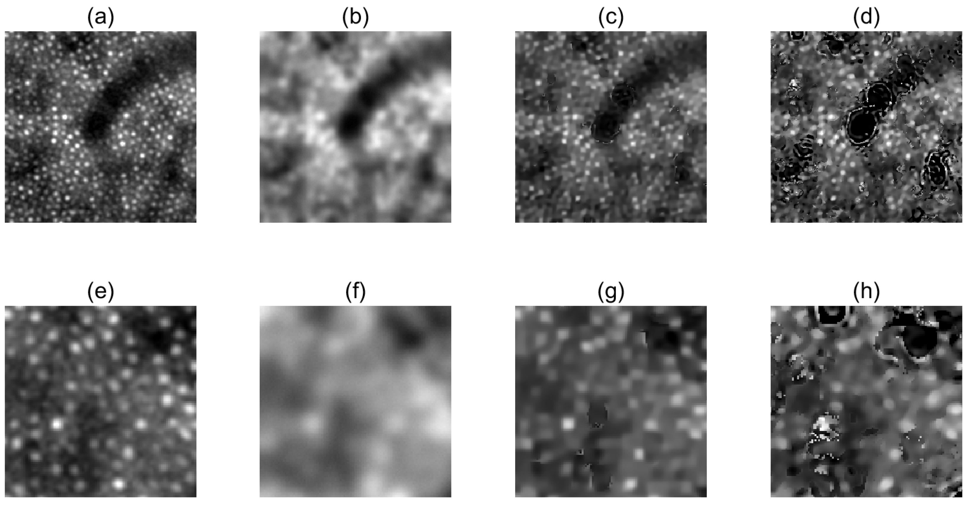 Symmetry 17 00660 g005