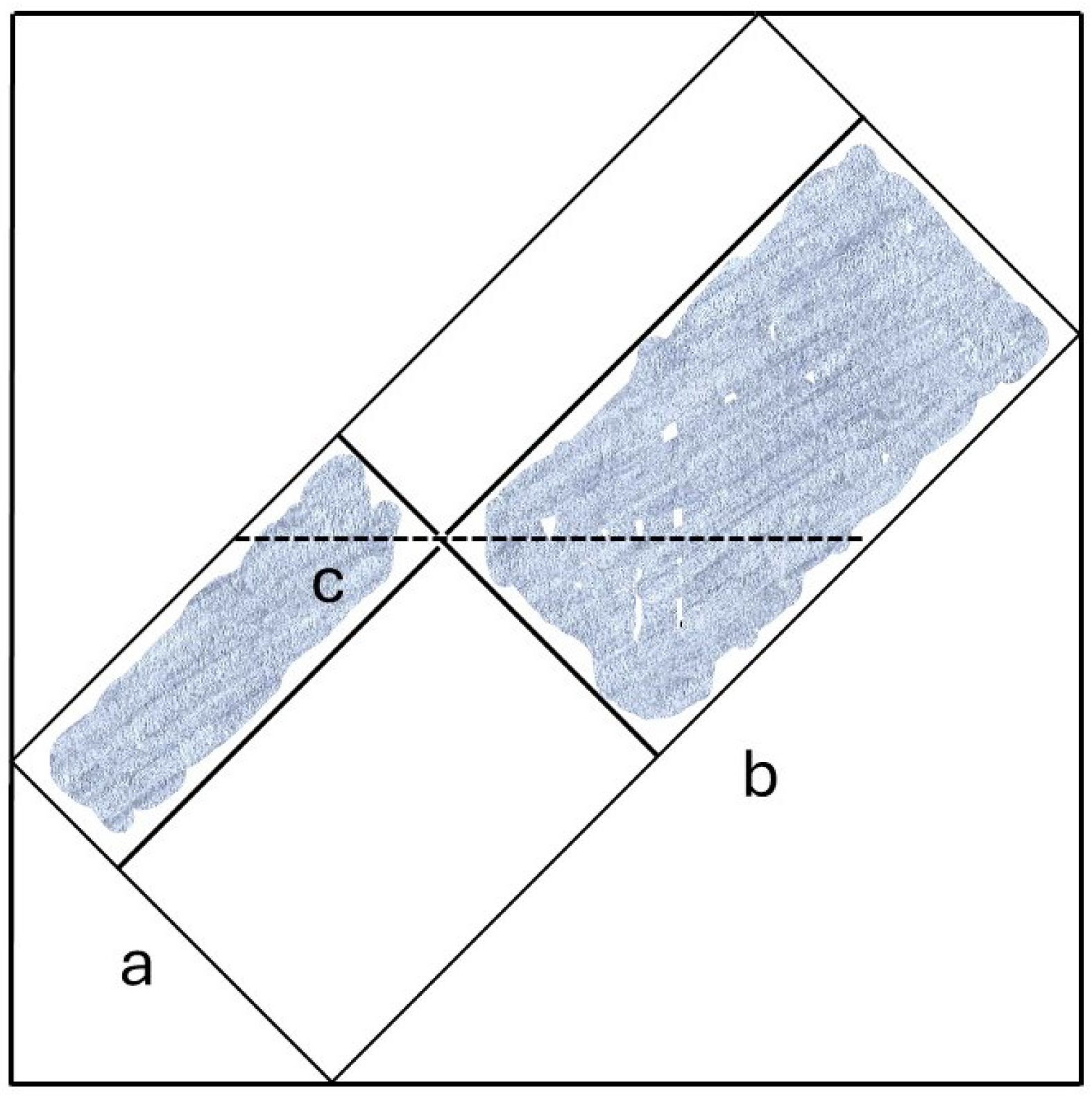Symmetry 17 00677 g004