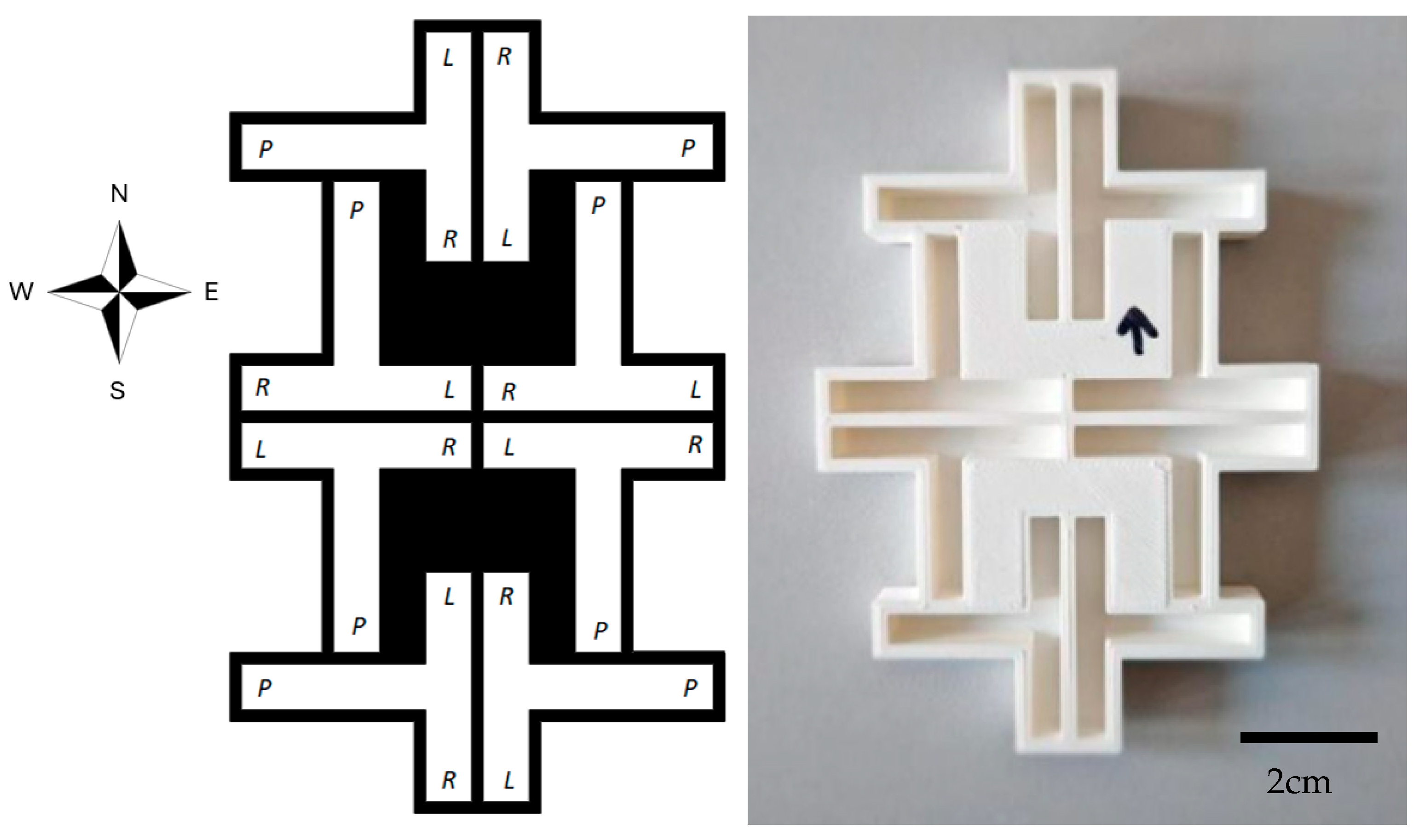 Symmetry 17 00756 g002