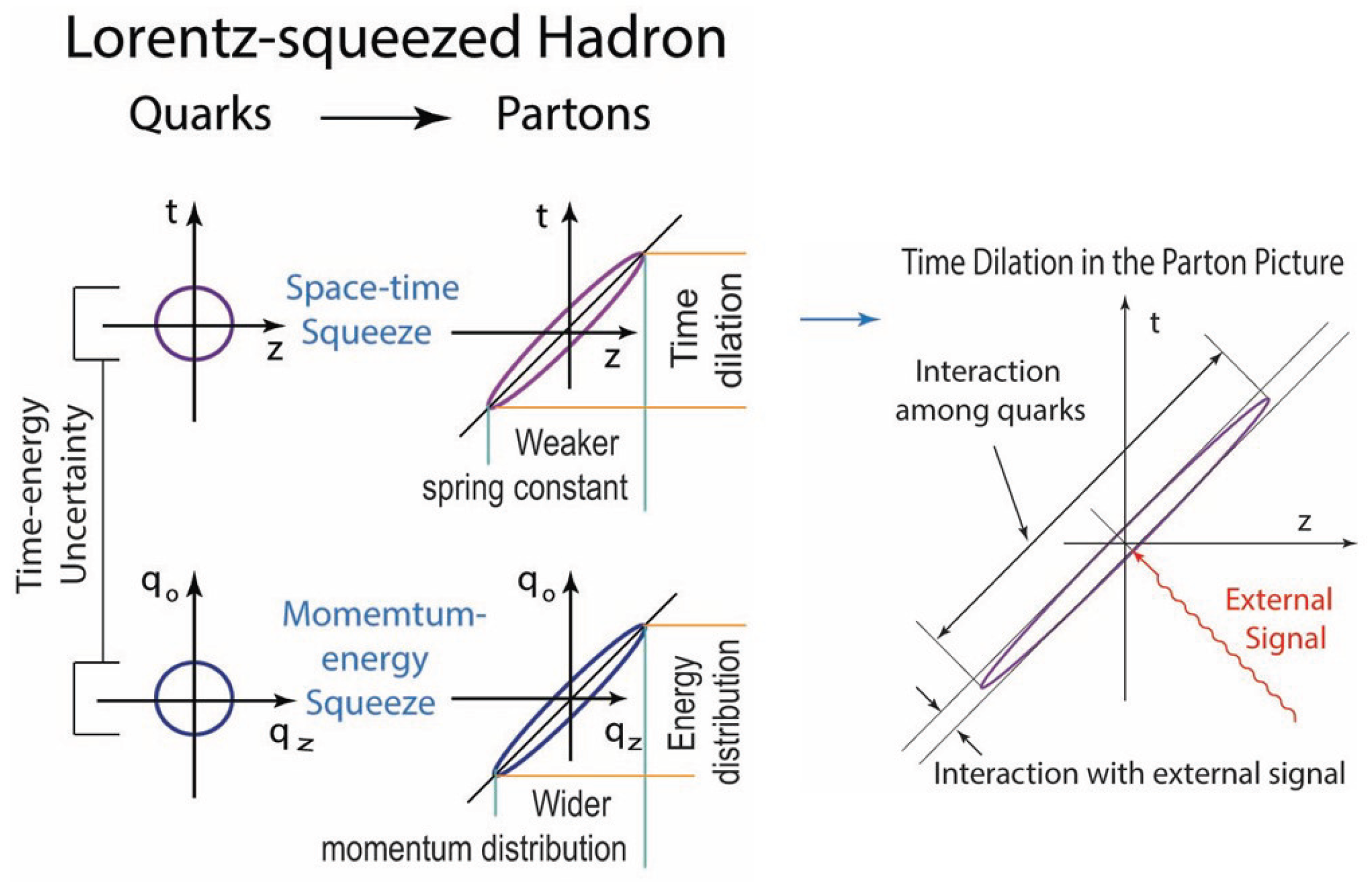 Symmetry 17 01003 g005 Symmetry 17 01003 g005