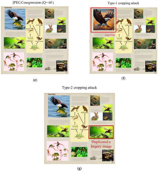 Symmetry 17 01027 g021b