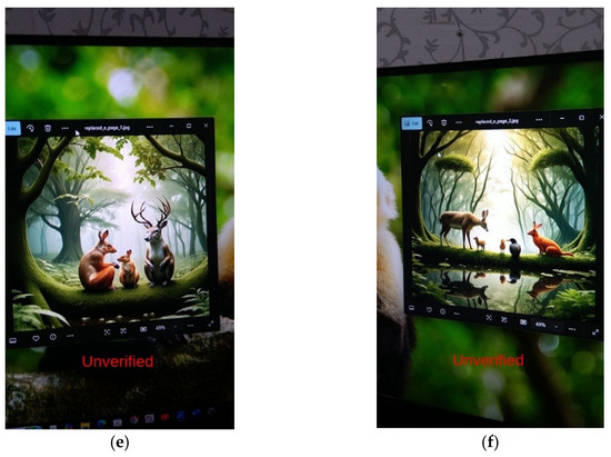 Symmetry 17 01027 g024b