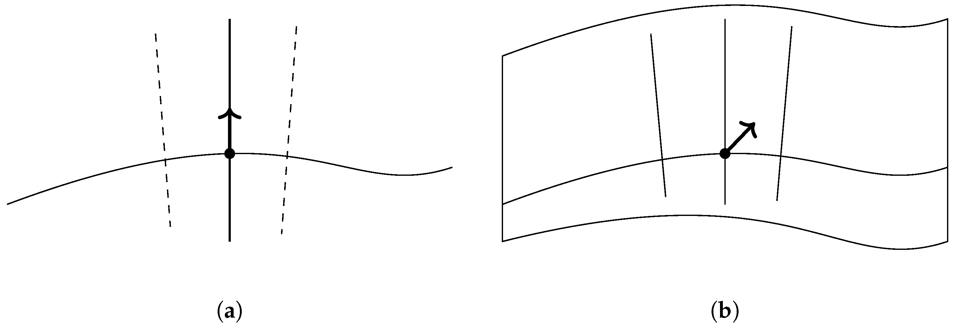 Symmetry 17 01172 g001