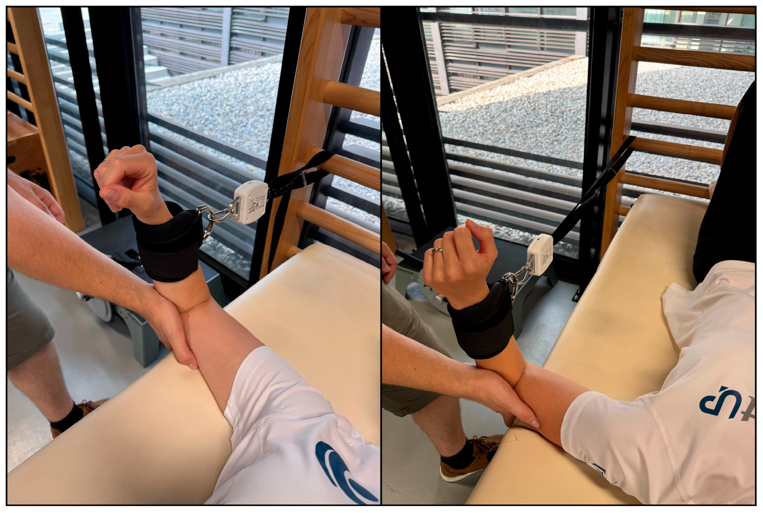 Sport-Specific Shoulder Rotator Adaptations: Strength, Range of Motion ...