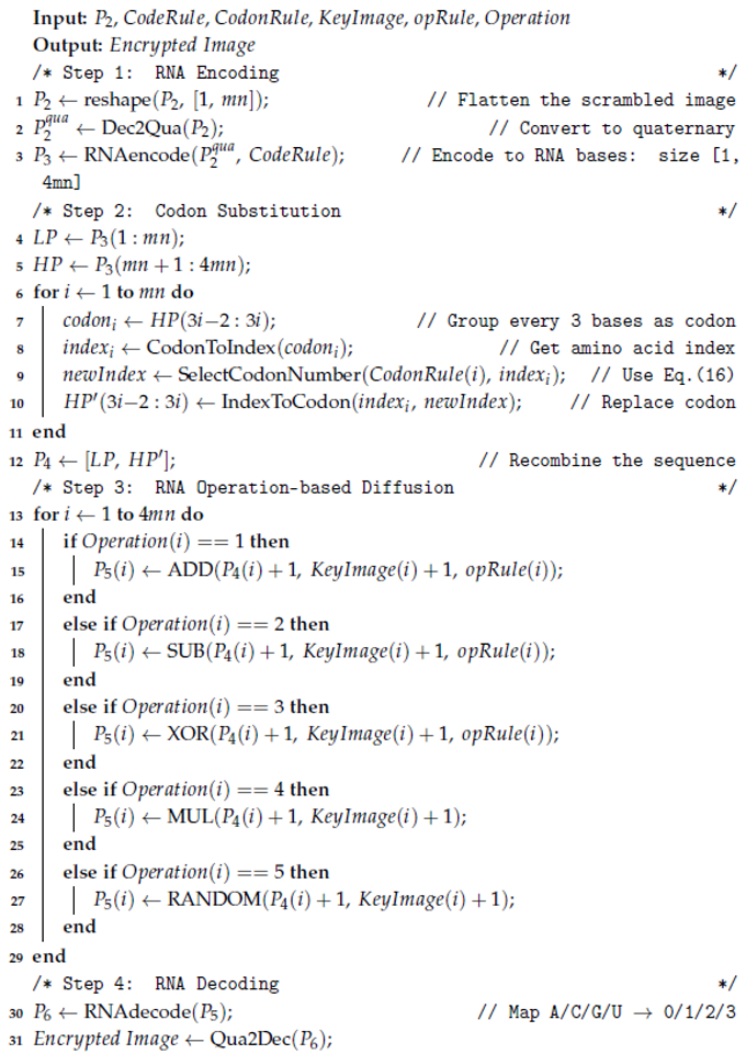 Symmetry 17 01255 i002 Symmetry 17 01255 i002