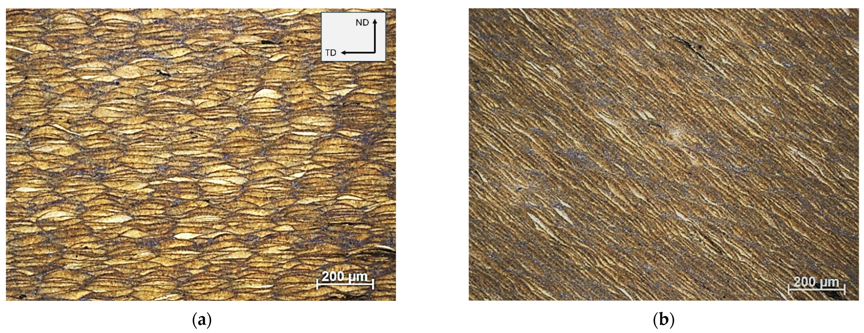 Symmetry 17 01289 g004 Symmetry 17 01289 g004