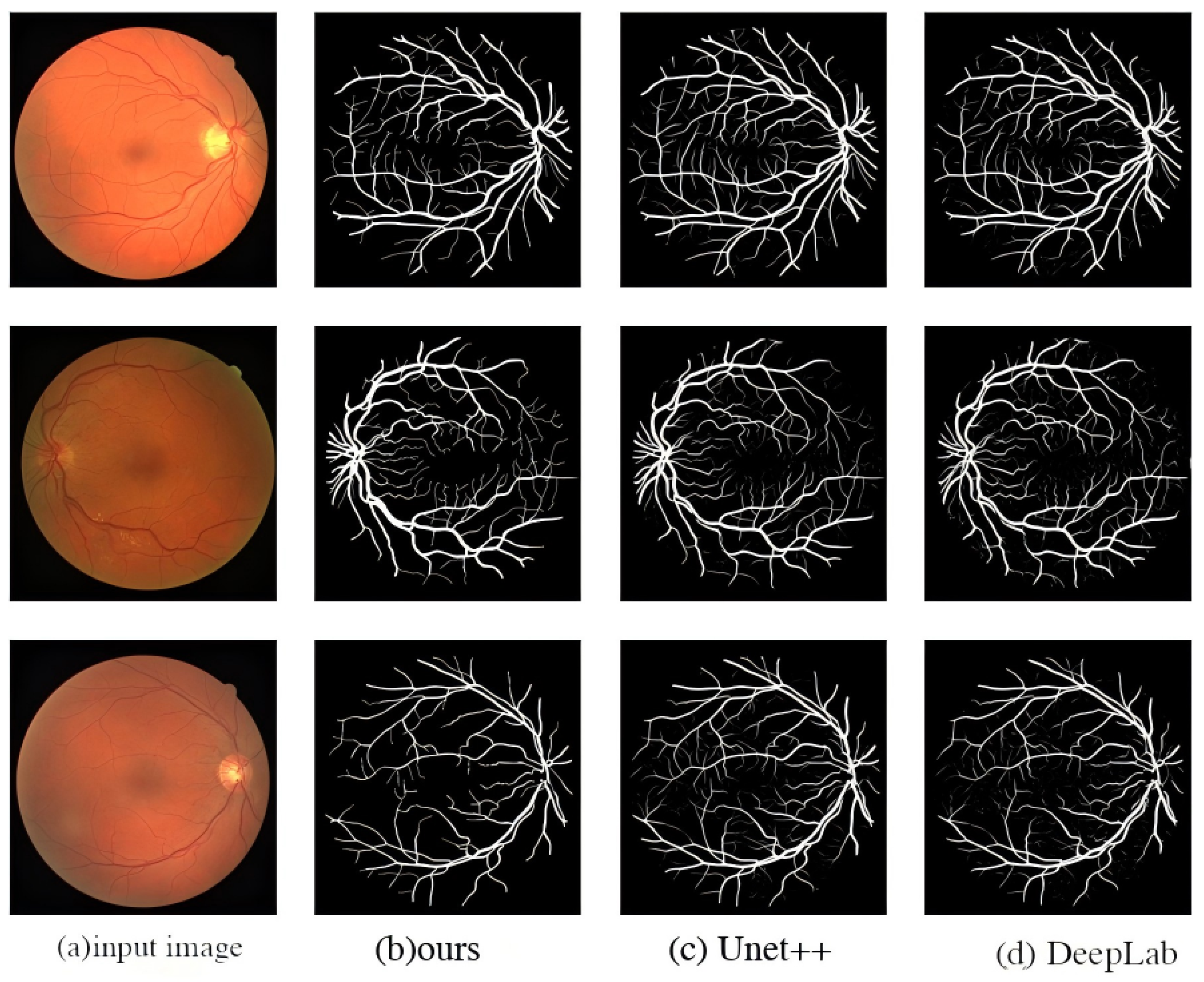 Symmetry 17 01462 g010
