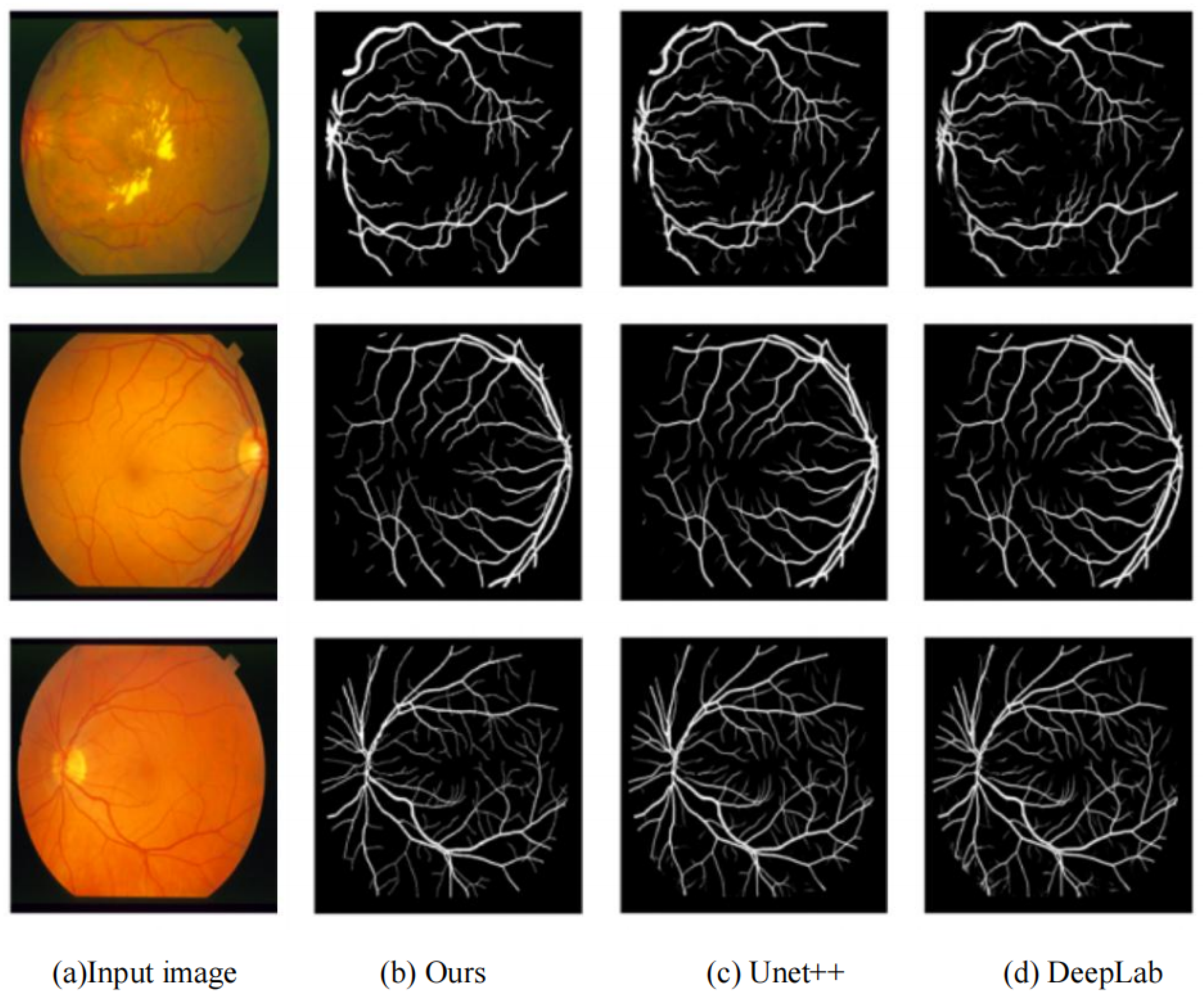 Symmetry 17 01462 g011