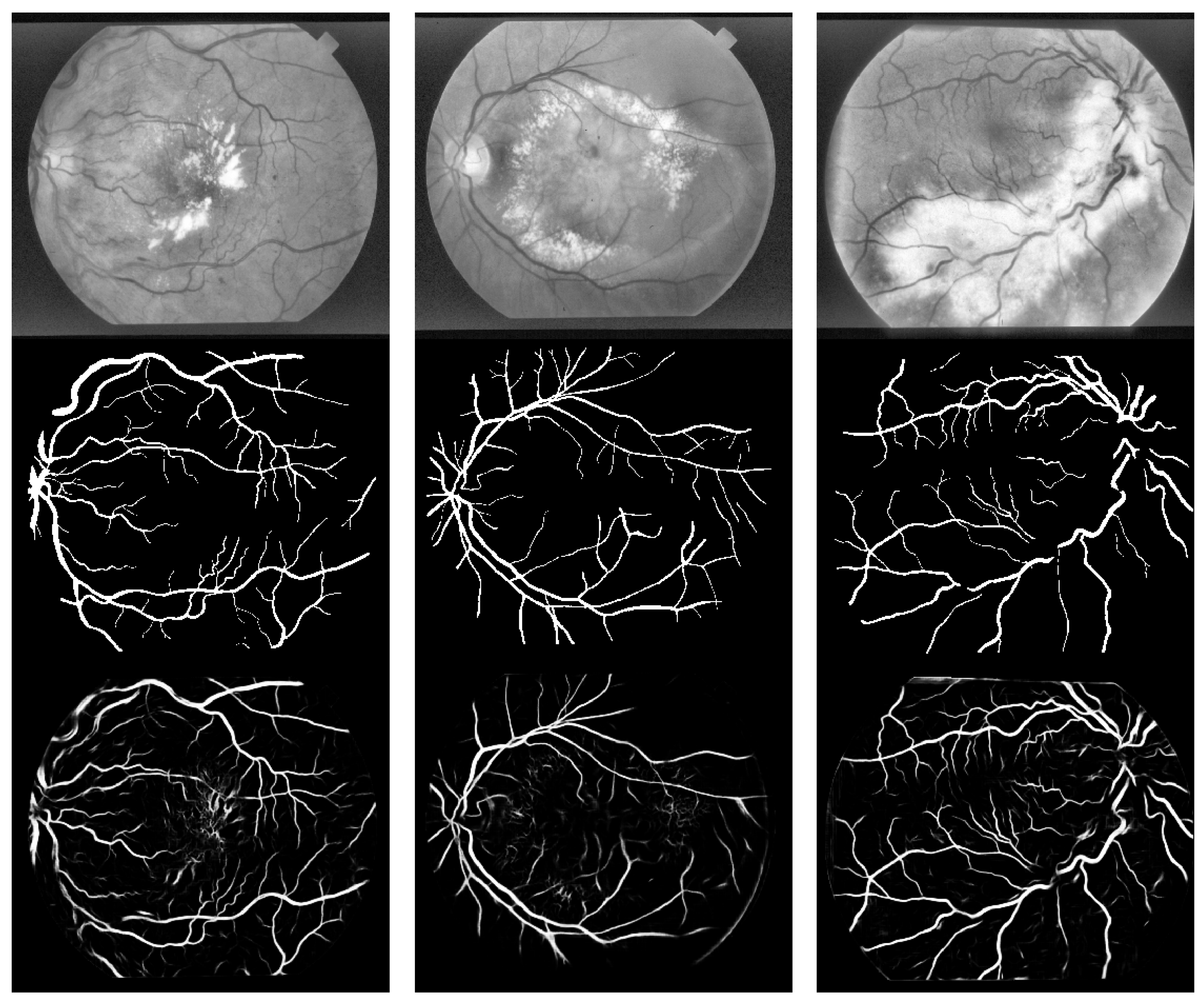 Symmetry 17 01462 g012