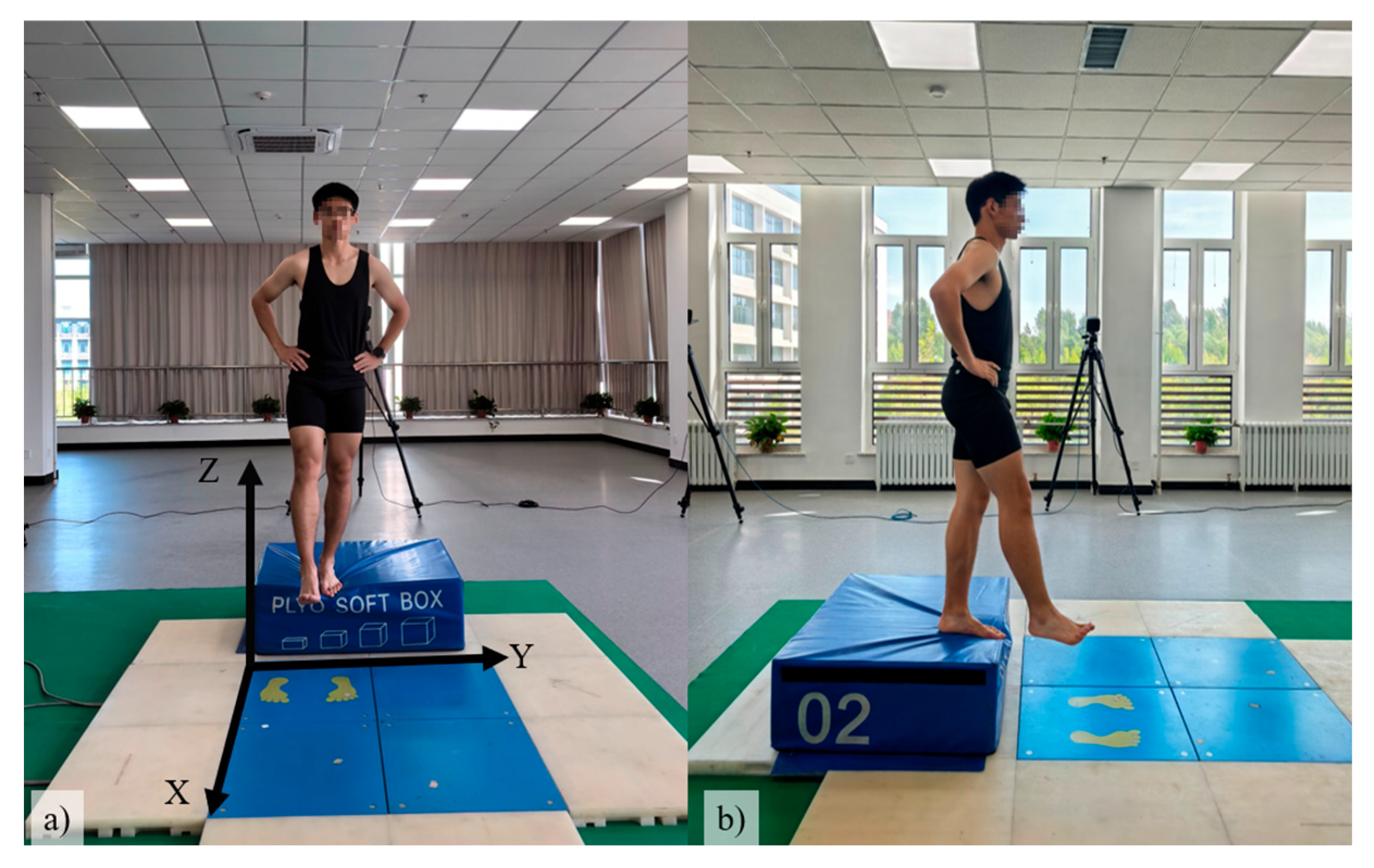 Symmetry 17 01734 g001