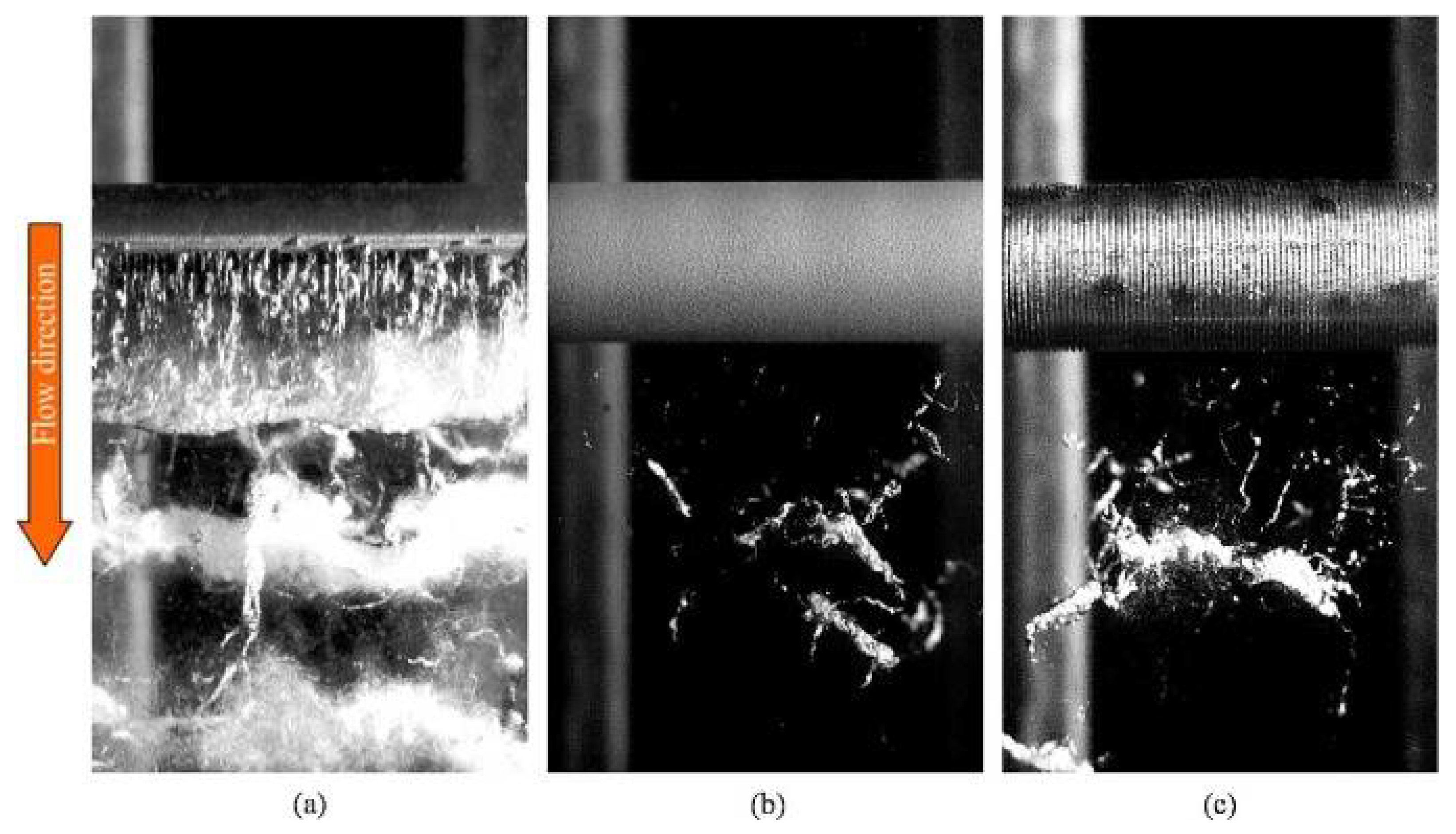 Symmetry 17 01782 g005