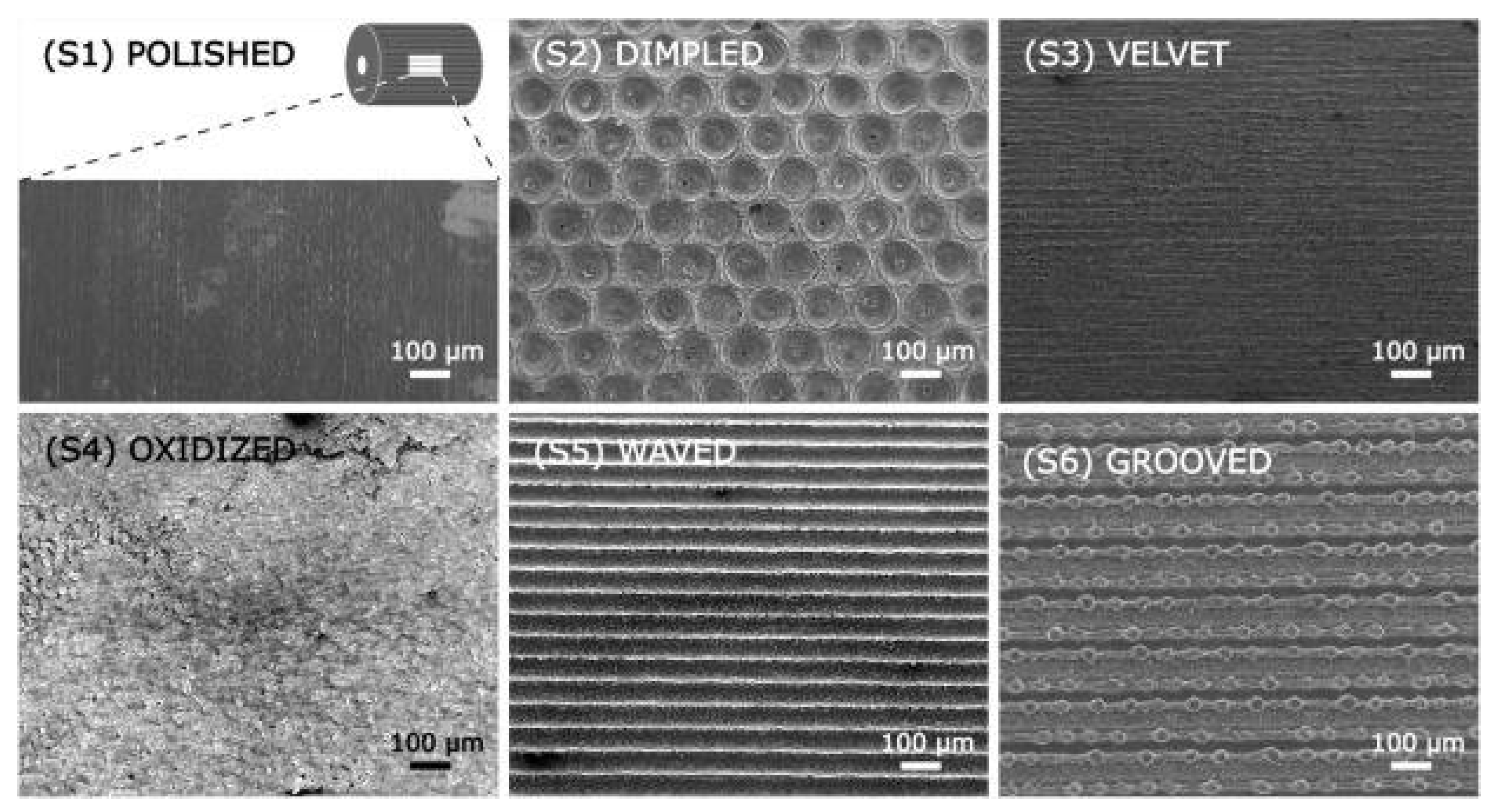 Symmetry 17 01782 g006