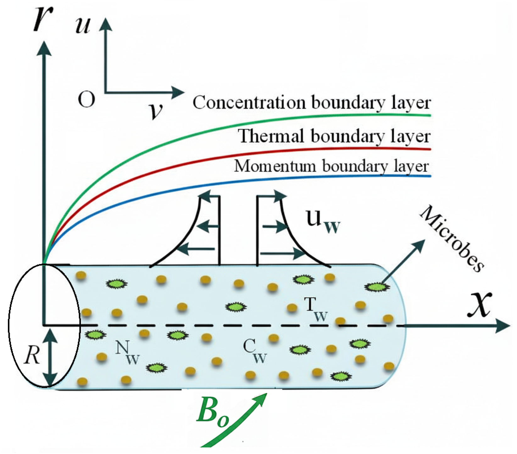 Symmetry 17 01809 g001