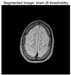 Symmetry 17 02120 i003