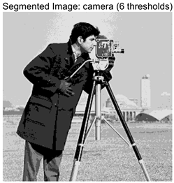 Symmetry 17 02120 i010