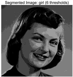 Symmetry 17 02120 i018