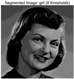 Symmetry 17 02120 i019