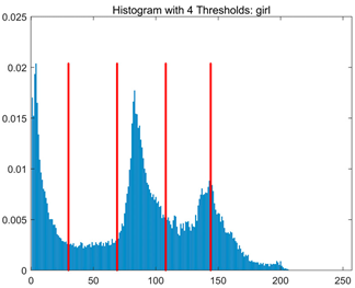 Symmetry 17 02120 i021