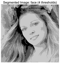 Symmetry 17 02120 i025