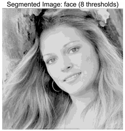 Symmetry 17 02120 i027