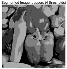 Symmetry 17 02120 i041