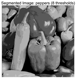 Symmetry 17 02120 i043