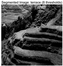 Symmetry 17 02120 i059