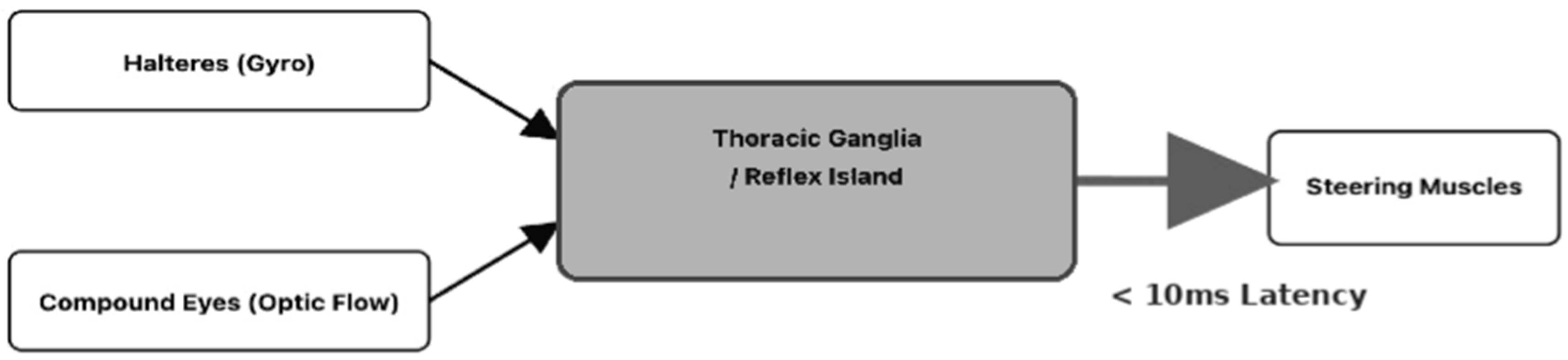 Symmetry 18 00175 g001