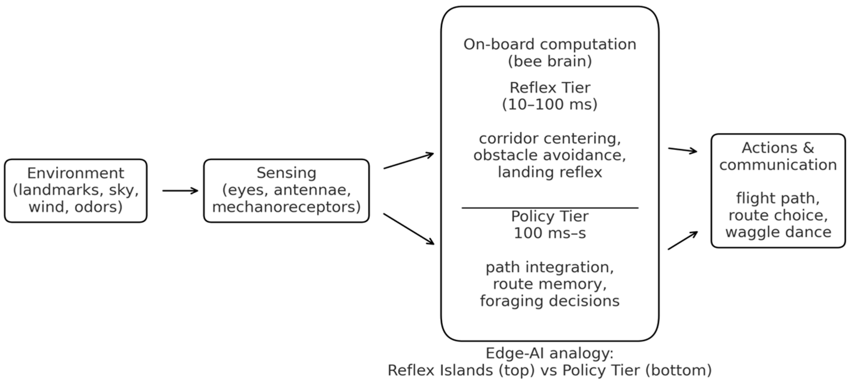 Symmetry 18 00175 g002