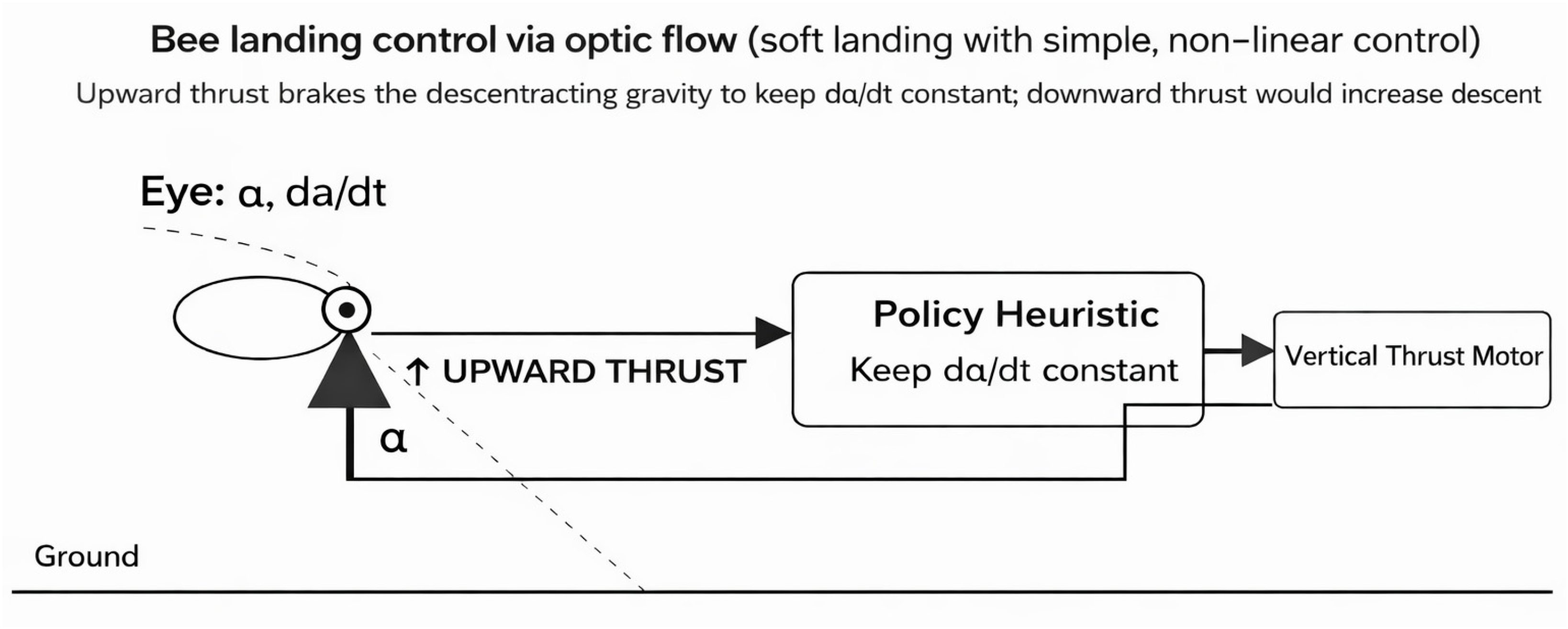Symmetry 18 00175 g003