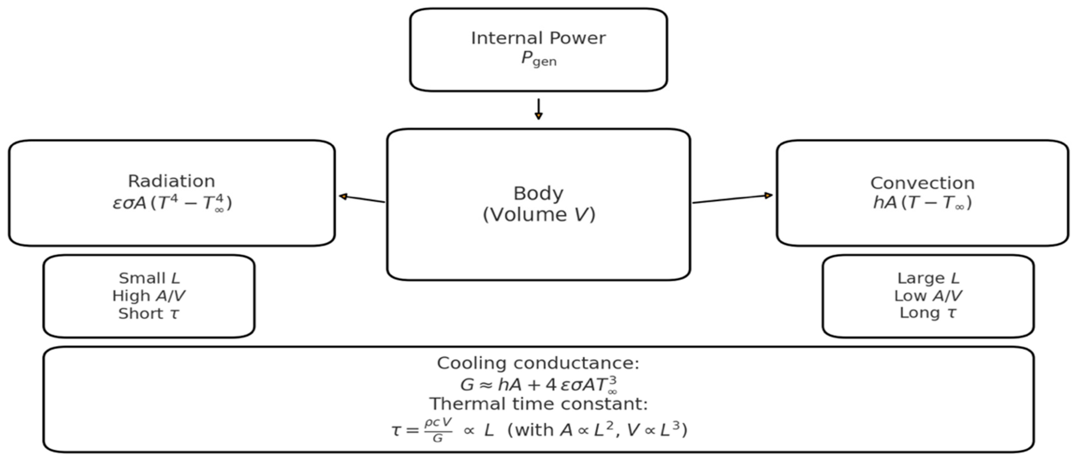 Symmetry 18 00175 g007
