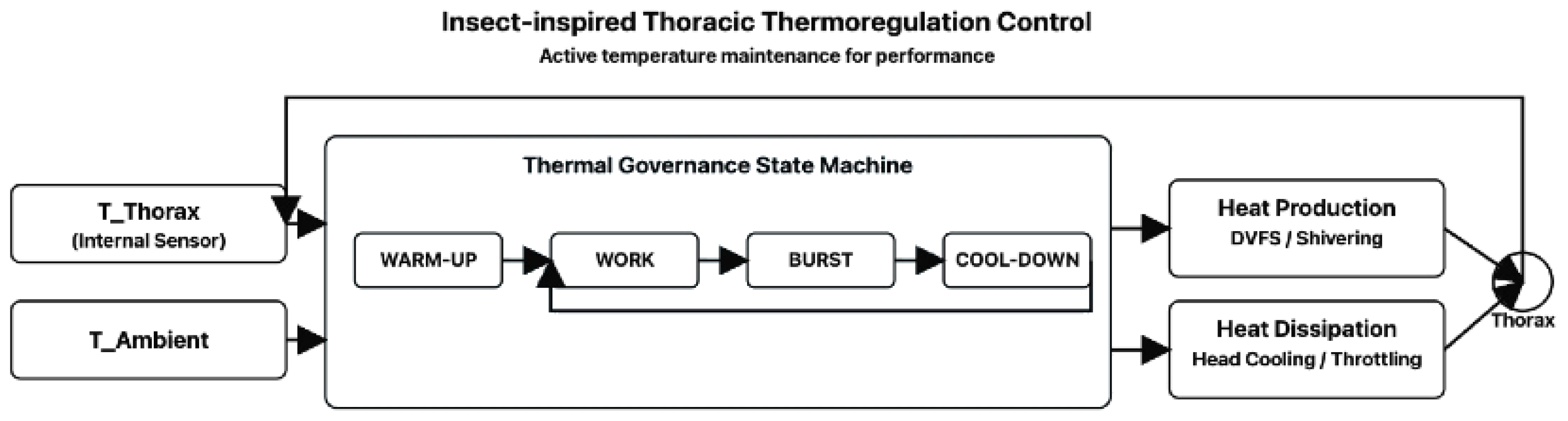 Symmetry 18 00175 g008