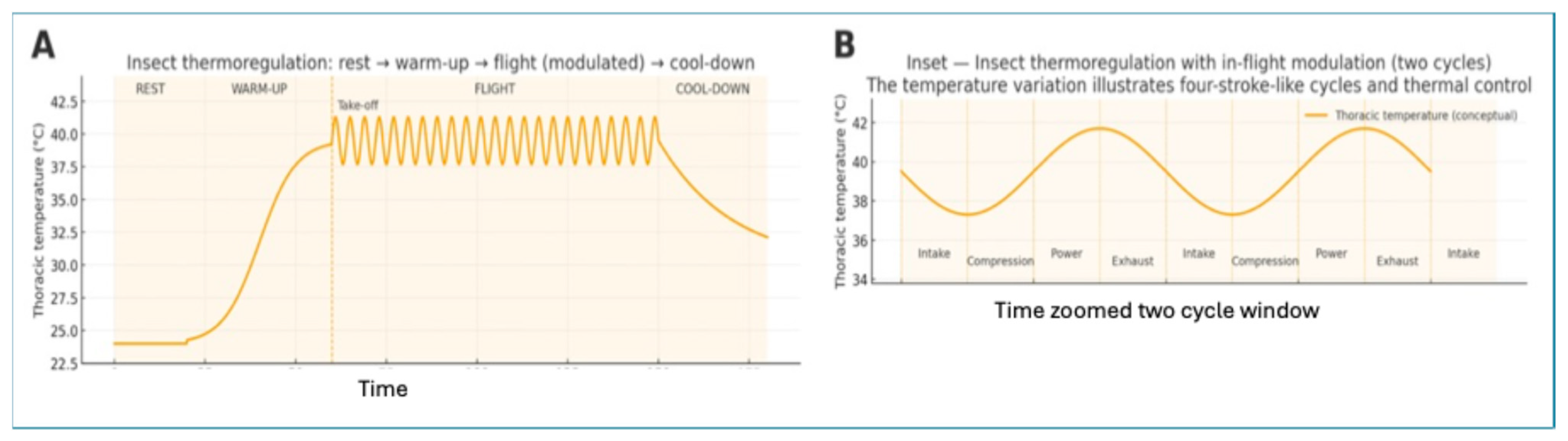 Symmetry 18 00175 g009