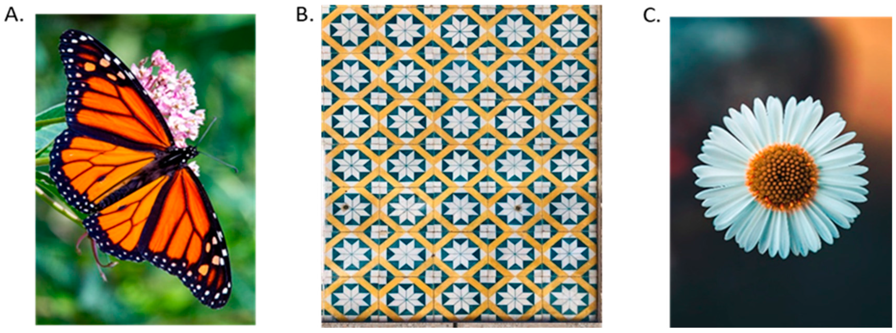 Symmetry 18 00247 g002